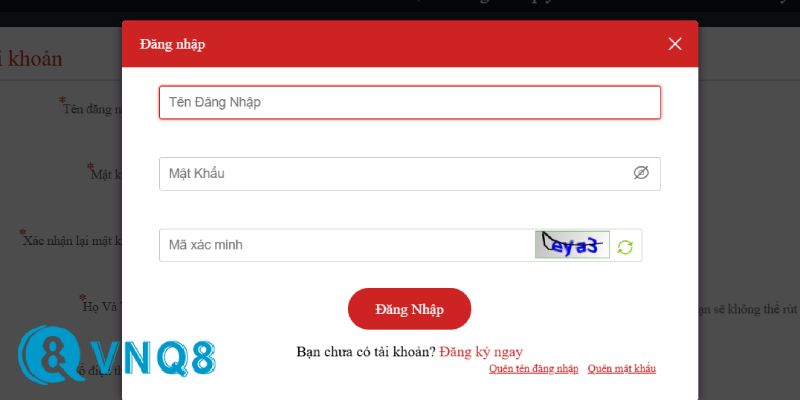 Hướng dẫn đăng nhập VNQ8 chi tiết