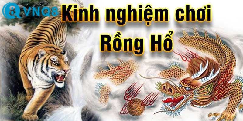 Một số kinh nghiệm khi chơi rồng hổ